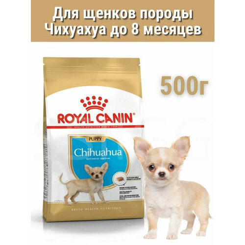 ROYAL CANIN "Chihuahua Junior" для щенков породы чихуахуа до 8 месяцев 500 г