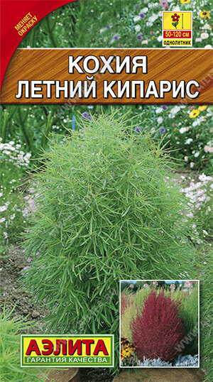 Семена Аэлита Экстра 