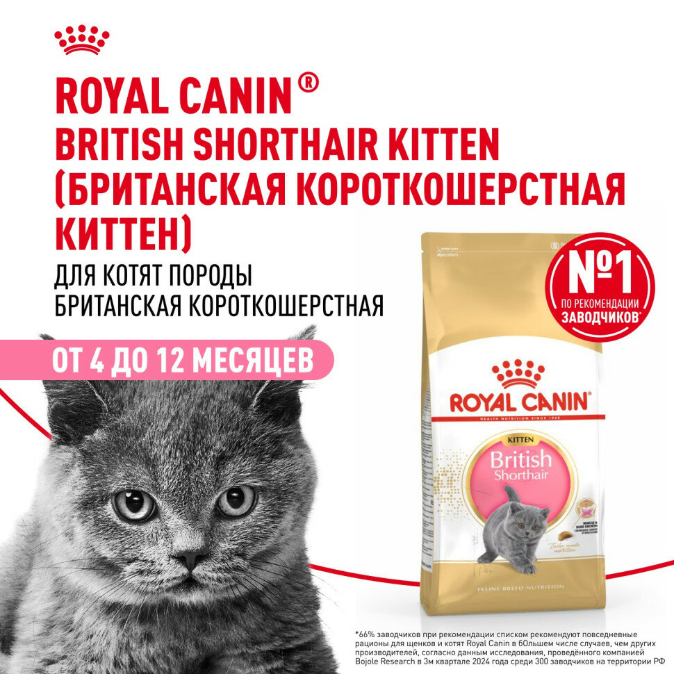 Royal Canin Kitten British Shorthair сухой корм для котят породы Британская гладкошерстная 2 кг