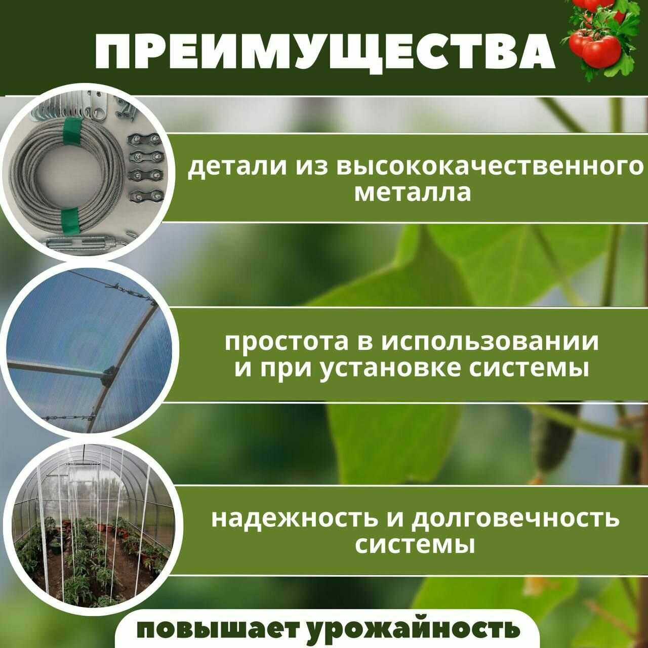 Изображение Система для подвязки растений в теплице 6м