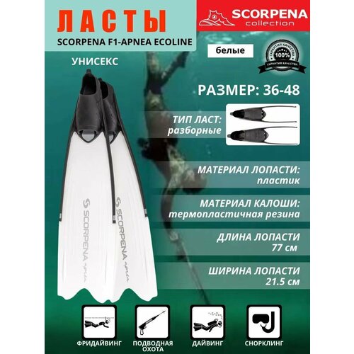 SCORPENA Ласты Scorpena F1 - Apnea бел, 36/38