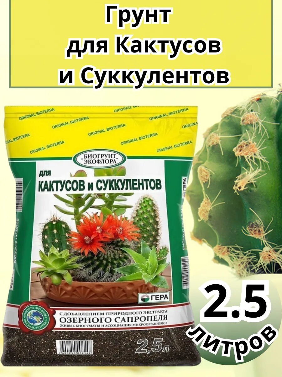Грунт для кактусов и суккулентов