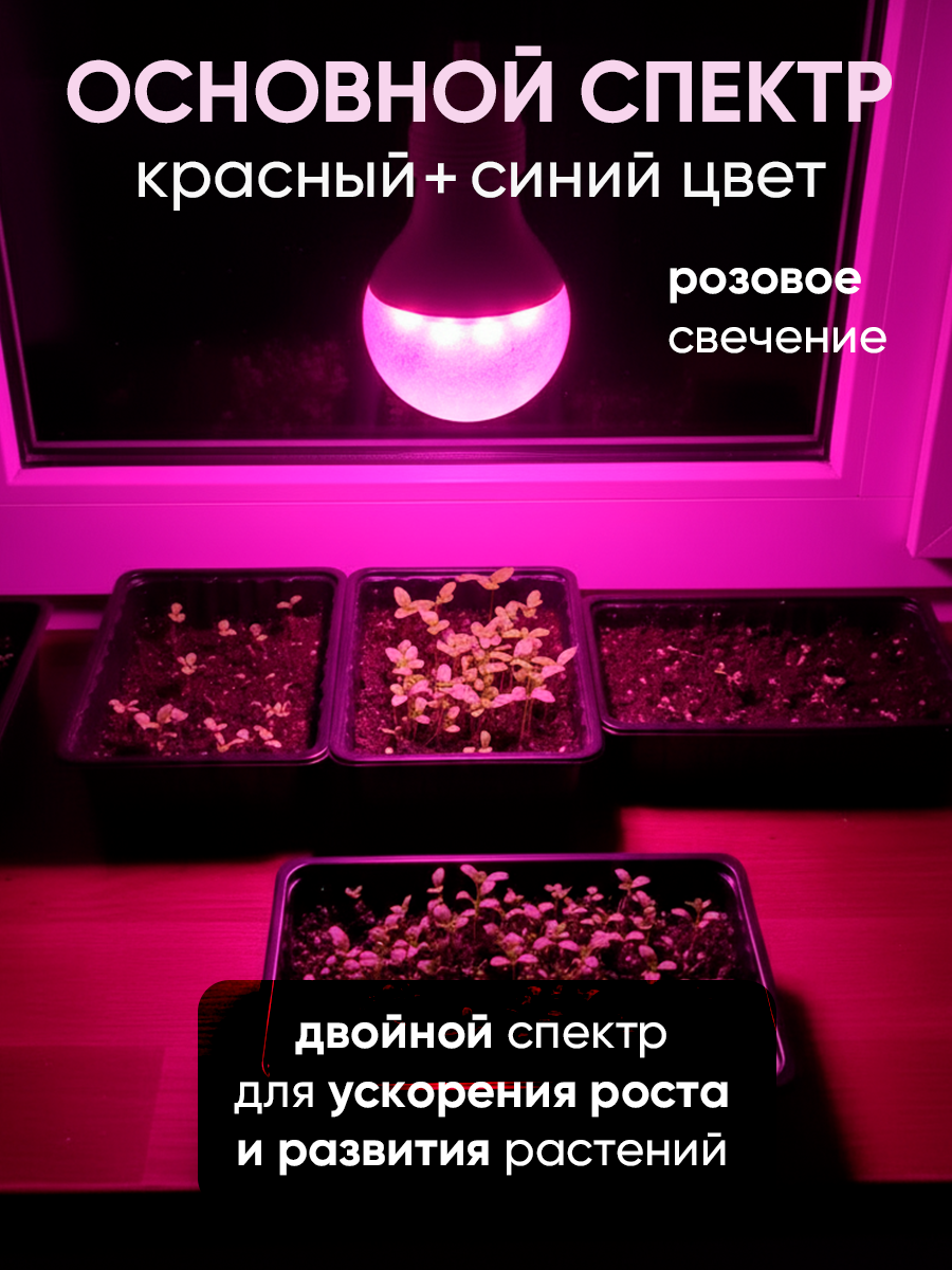 Фитолампа для растений, рассады и комнатных цветов красно-синего спектра 25w Е27 — фото 1