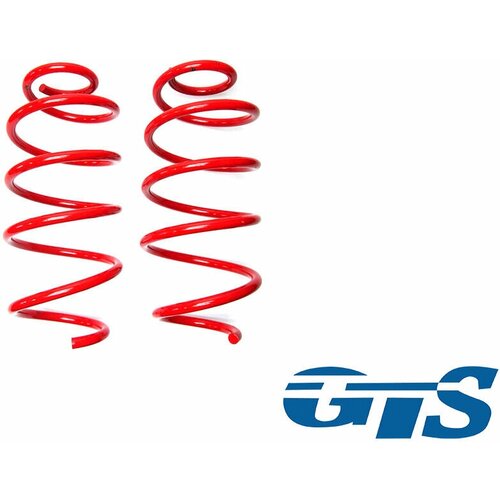 Пружины для а/м ВАЗ 2170, 2190, 1119 передние, занижение -30 драйв