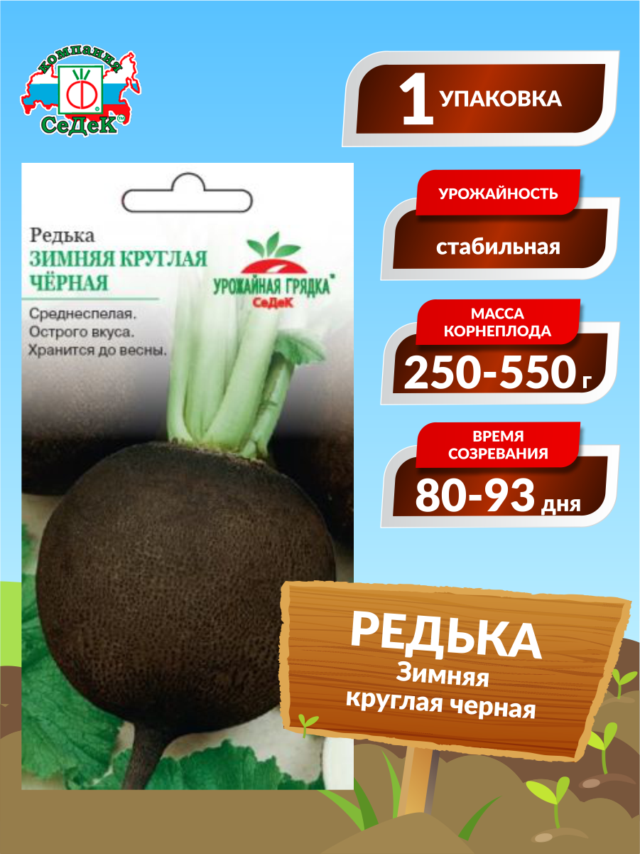 Редька Зимняя круглая черная СеДек - фото №1
