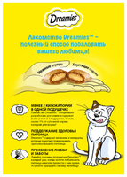 Лакомство для кошек Dreamies с сыром 60 г