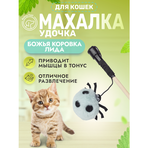 Игрушка для кошек Roksy-hall, Махалка, Божья коровка Лида, цвет голубой