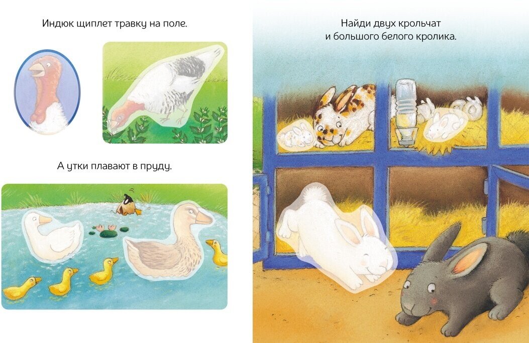 Книга Домашние животные