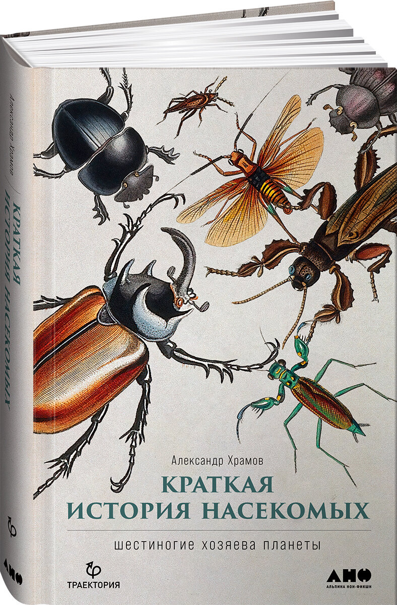 Краткая история насекомых Шестиногие хозяева планеты - фото №2