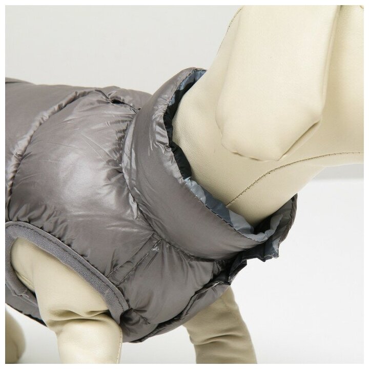 Куртка для собак двухсторонняя с принтом, размер 8 (ДС 23 см, ОГ 30, ОШ 22 см), серая - фотография № 5