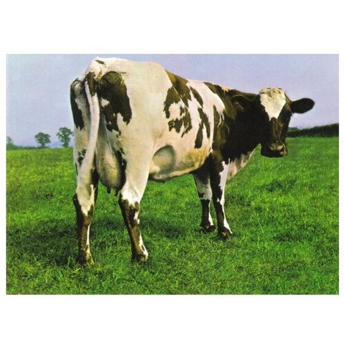 PINK FLOYD ATOM HEART MOTHER Digisleeve Remastered CD pink floyd obscured by clouds digisleeve remastered cd