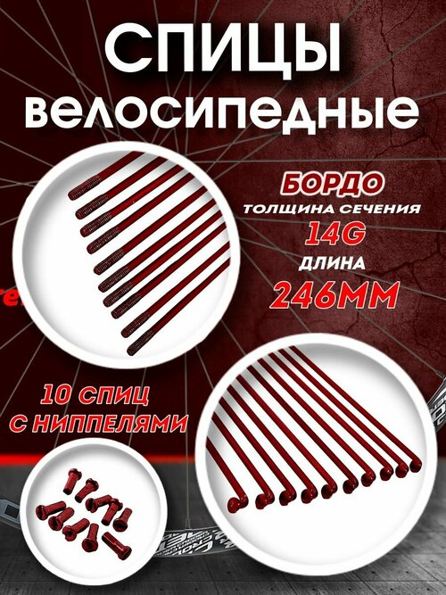 Спицы 246 мм x 14G с ниппелем стальные бордо