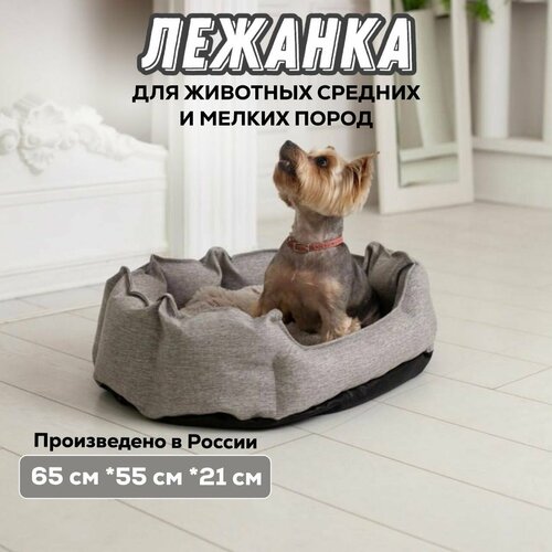 Лежанка для животных собак и кошек с двусторонней подушкой / серая нежность / размер 65х55х21 см