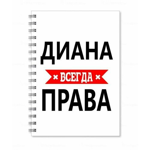 кружка диана всегда права серебристого цвета 330 мл Тетрадь MIGOM принт А5 Диана всегда права