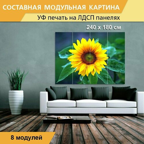 Модульная картина 