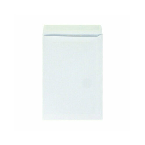 Пакет Белый B4 стрип Businesspack 250х353 120г 200 штук в упаковке, 128728