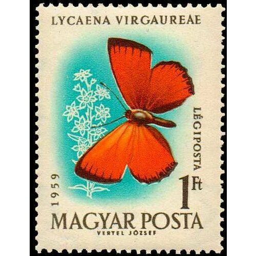 (1959-069) Марка Венгрия Червонец огненный Бабочки II Θ