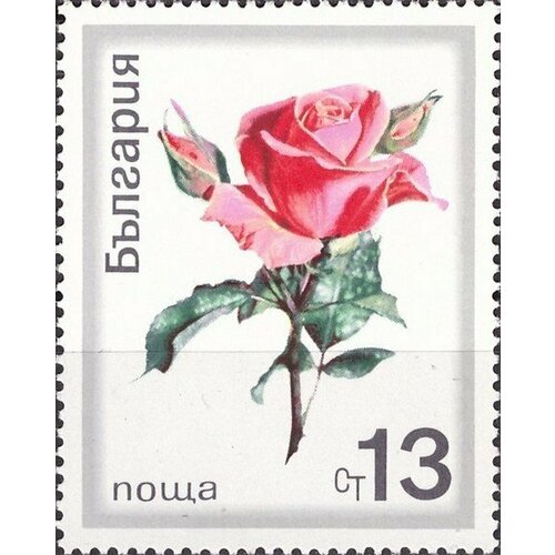(1970-033) Марка Болгария Роза с бутонами Розы III Θ 1970 033 марка болгария роза с бутонами розы i θ