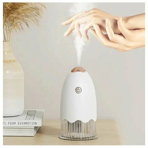 Увлажнитель воздуха для дома с функцией ночника и очистки воздуха 145000₽