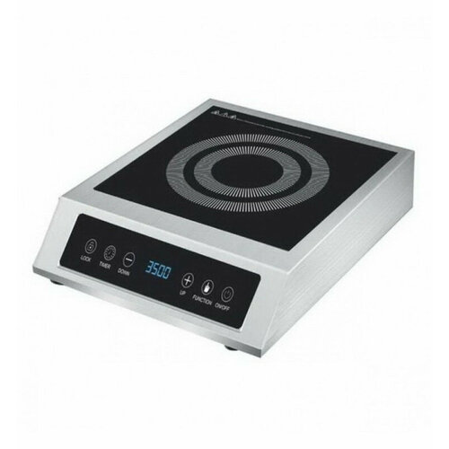 Индукционная плита Iplate ALINA 2669900₽