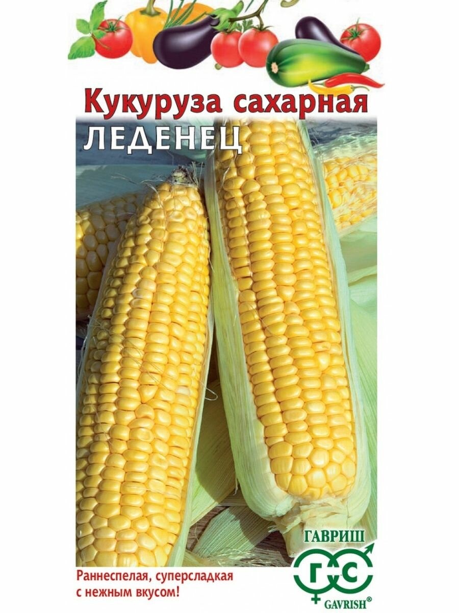 Семена Кукуруза Леденец сахарная 10шт Ранние (Гавриш)