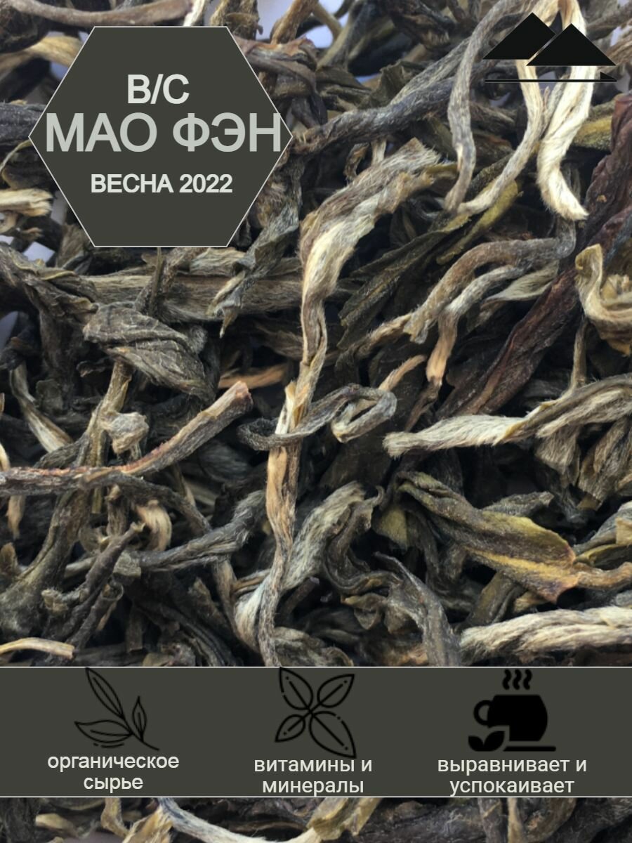 Зелёный чай Мао Фэн Ворсистые Пики, Юньнань, высший сорт, 50ГР.