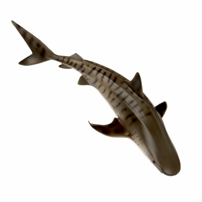 Фигурка Collecta Тигровая акула 16.5 см - фото №14