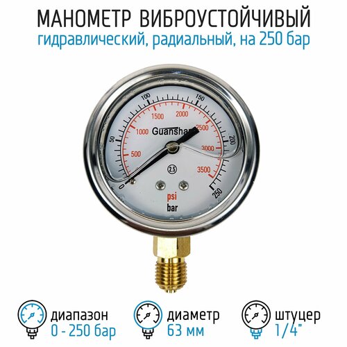 Манометр виброустойчивый YN63Z на 250 бар, 63 мм, G 1/4 радиальный, глицериновый