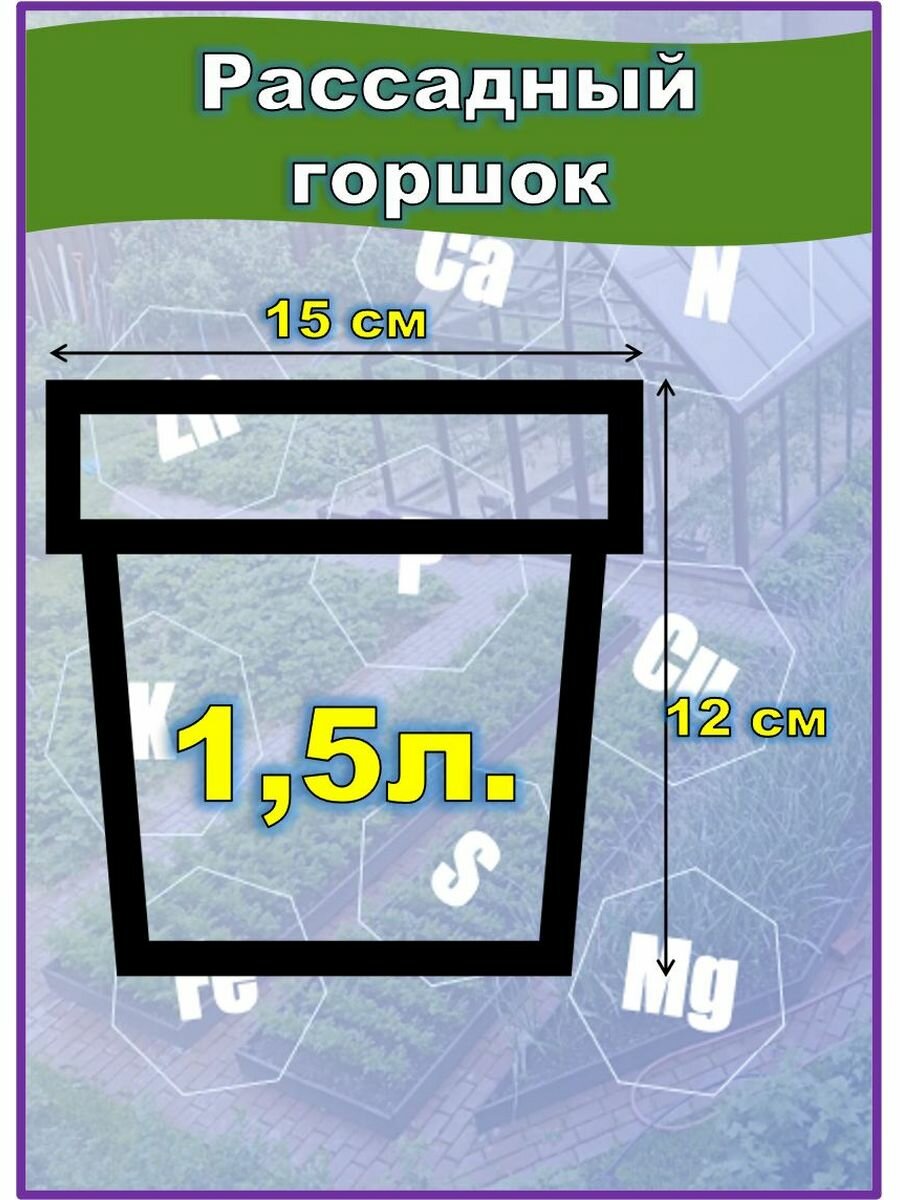 Горшок для рассады круглый, пластиковый 1,5л, 50шт - фотография № 2