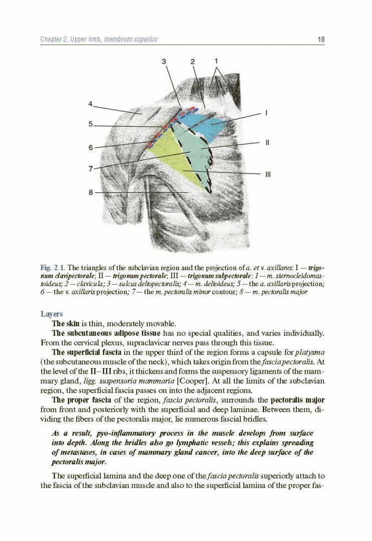 Topographic Anatomy and Operative Surgery. Textbook - фото №7