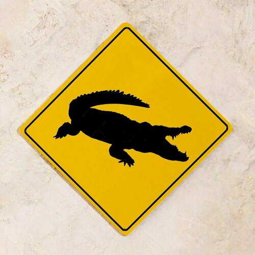 Прикольный предупреждающий Знак Осторожно! Крокодил для улицы и помещений, металл, 25х25 см.