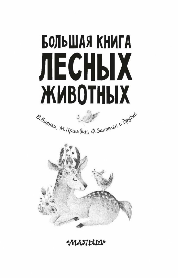 Большая книга лесных животных (Паустовский Константин Георгиевич, Пришвин Михаил Михайлович, Коваль Юрий Иосифович) - фото №18