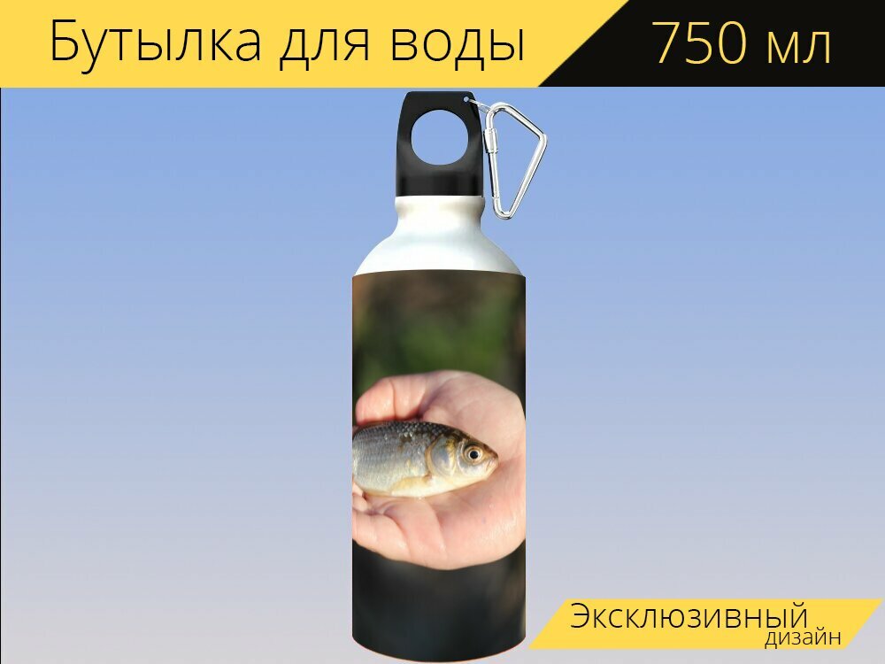 Бутылка фляга для воды "Рыба, карась, рыбалка" 750 мл. с карабином и принтом