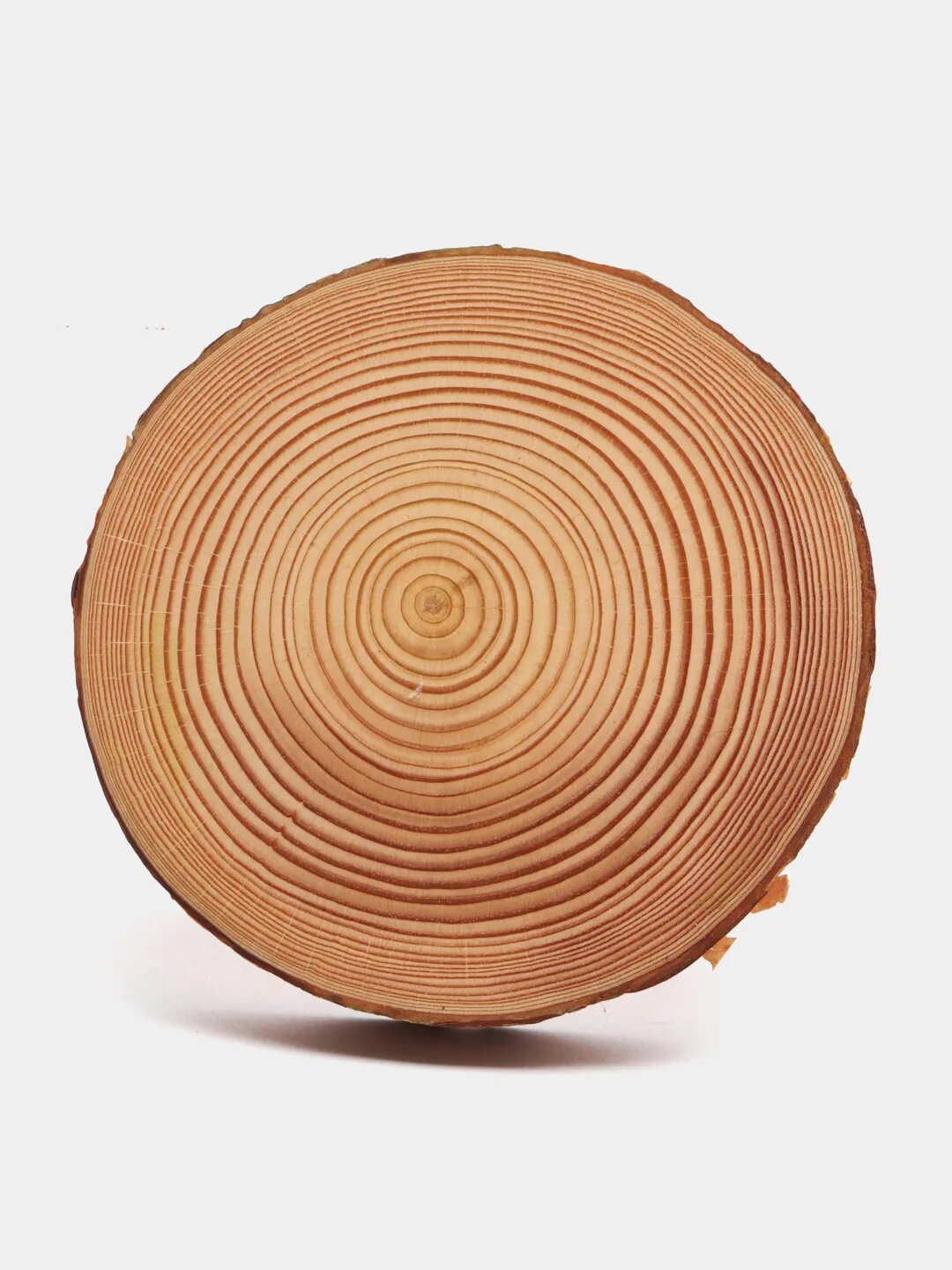 Декоративная подставка из спила дерева, сосна, диаметр 10-11 см.