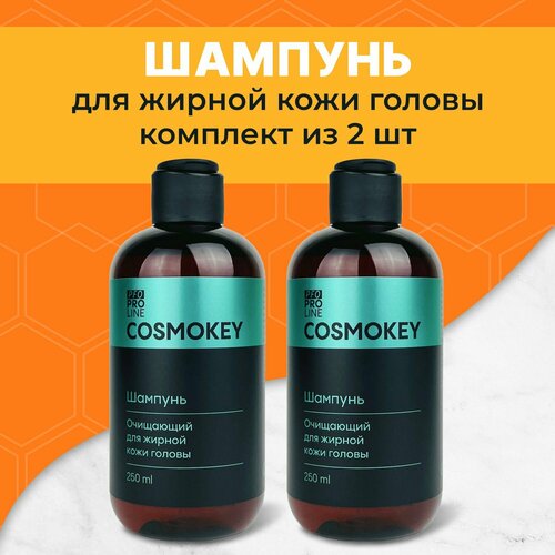 Cosmokey / Космокей Очищающий шампунь против перхоти, зуда, для жирной кожи головы 2 шт по 250 мл