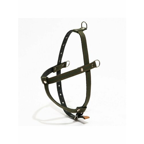 Шлейка брезентовая на фетре многоразмерная, 2,5 см ОШ 44-68,