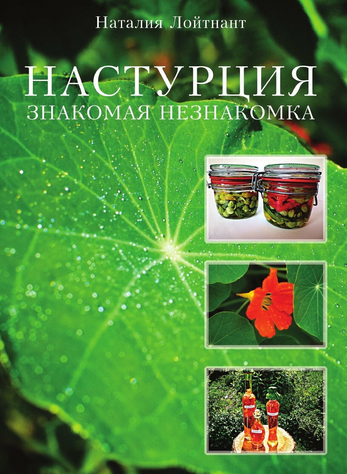 Книга Настурция – Знакомая Незнакомка - фото №1
