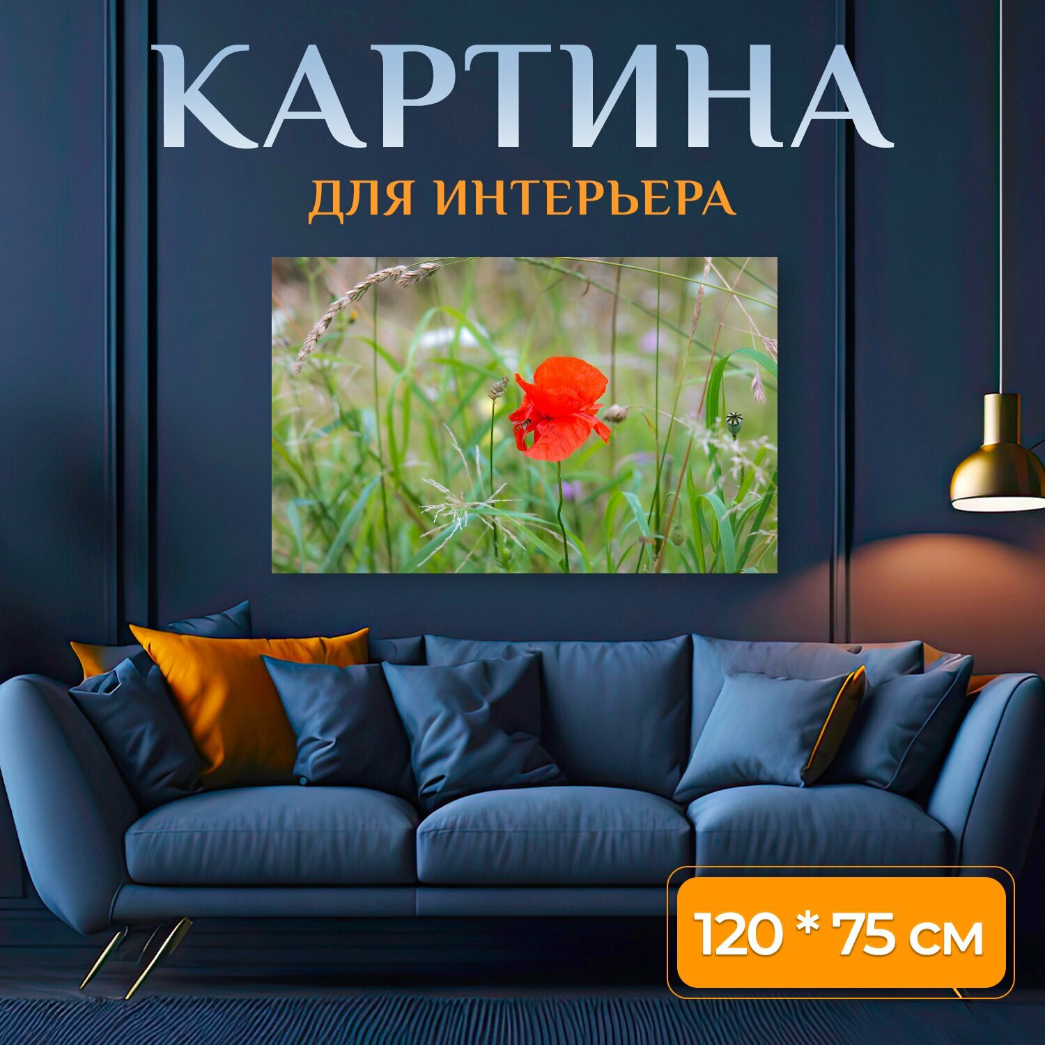 Картина на холсте "Мак, кукурузный мак, цветок мака" на подрамнике 120х75 см. для интерьера