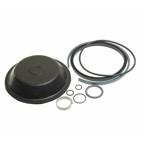 Ремкомплект КАМАЗ энергоаккумулятора тип 20/20 (9 поз.), РК-100, биформ