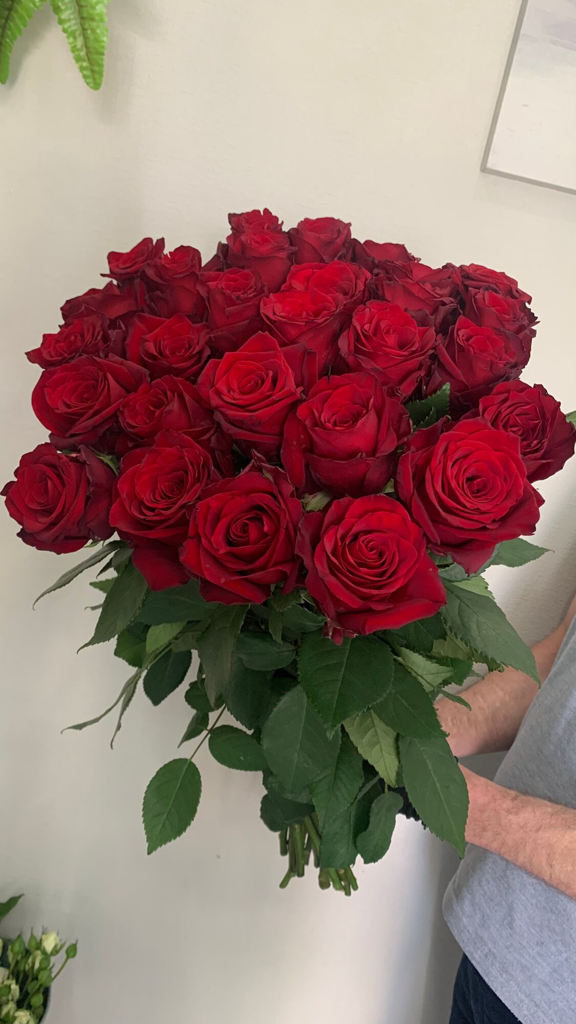 Монобукет "Букет из красных роз" Rainbow Flowers 29 роз высота 50 см оформление под ленту