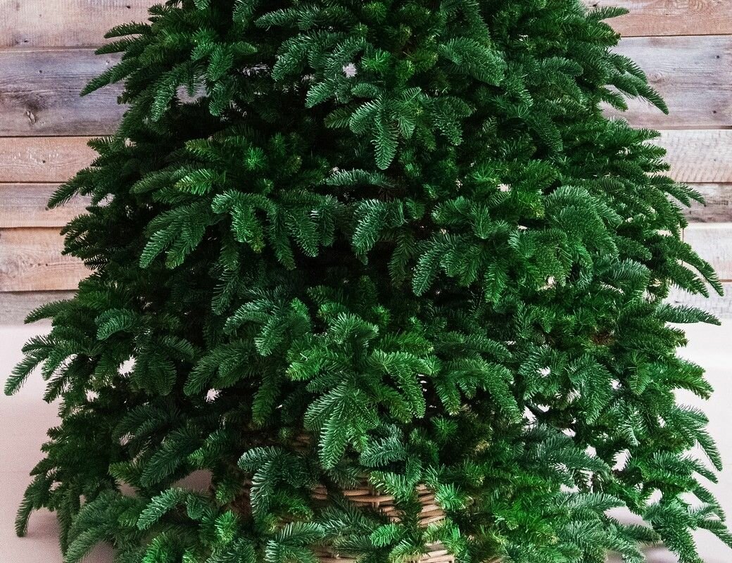Ель Триумф 
