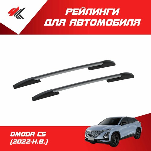 Рейлинги омода С5 (2022-Н. В.) серебристый / PT-Group