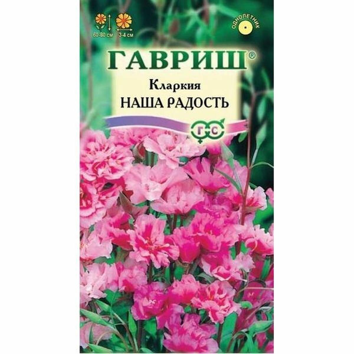 Семена Кларкия Наша радость ноготковая однолетник Гавриш 1 пачка - 0.1г семян