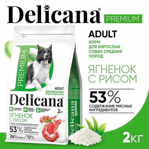 Delicana Корм сухой для собак средних пород Ягненок с рисом, 2 кг