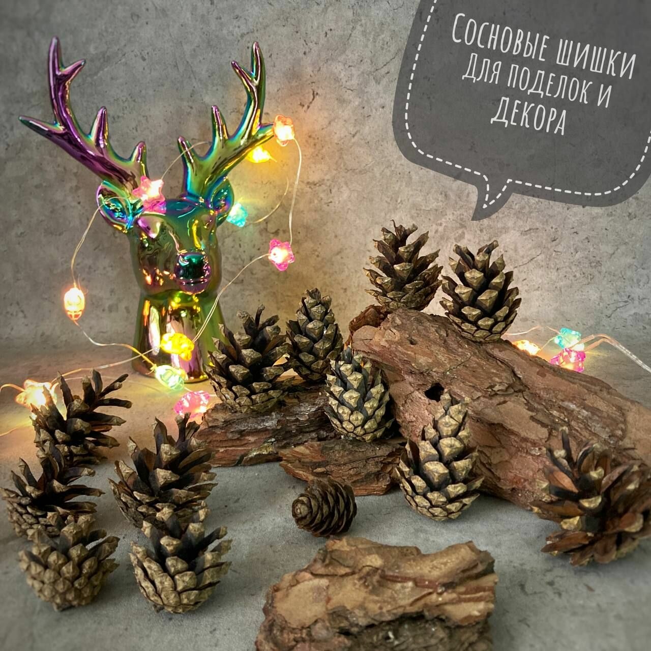 Шишки сосновые для поделок, декора, творчества и рукоделия (набор 15 штук) / Природный материал.