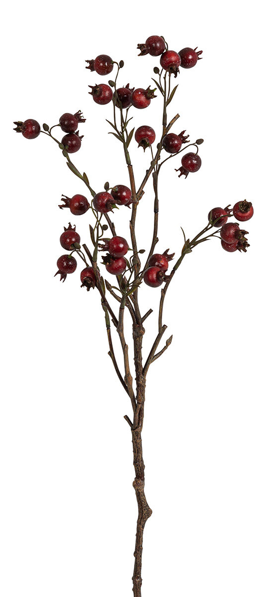 Ветка декоративная Шиповник 61 см цвет красный Fiebiger Floristik GmbH 161919-550
