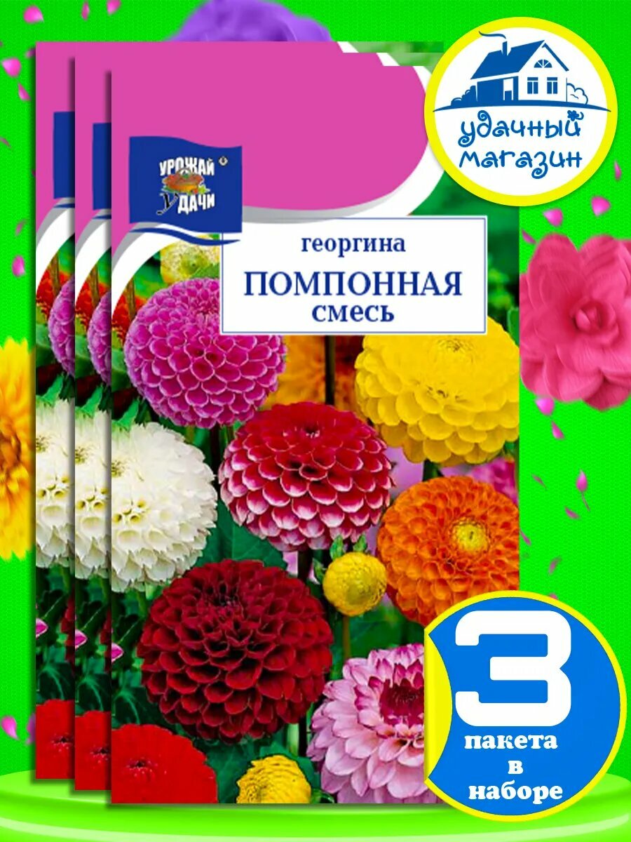 Семена георгина помпонная