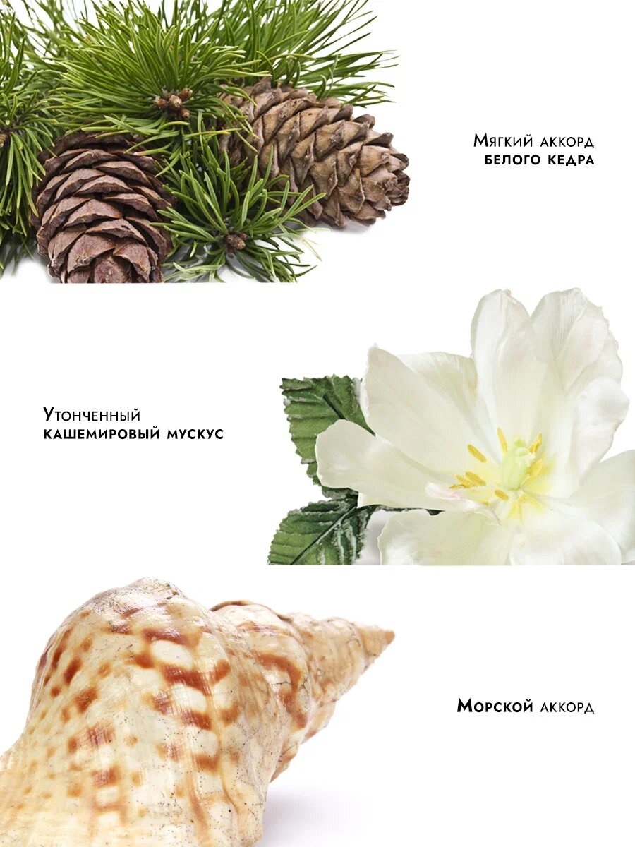 Наполнитель для диффузора Dad's material "Кедр", интерьерный, масло кашемир — фото 1