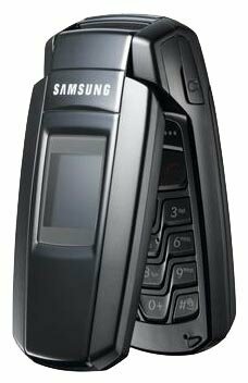 Телефон Samsung SGH-X300