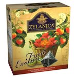 Чай черный Zylanica Fruit exotica с клубникой, киви и сафлором в пирамидках - изображение